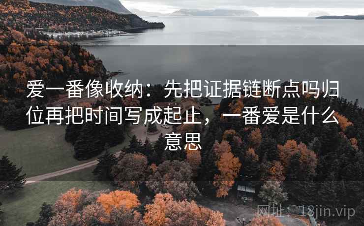 爱一番像收纳：先把证据链断点吗归位再把时间写成起止，一番爱是什么意思